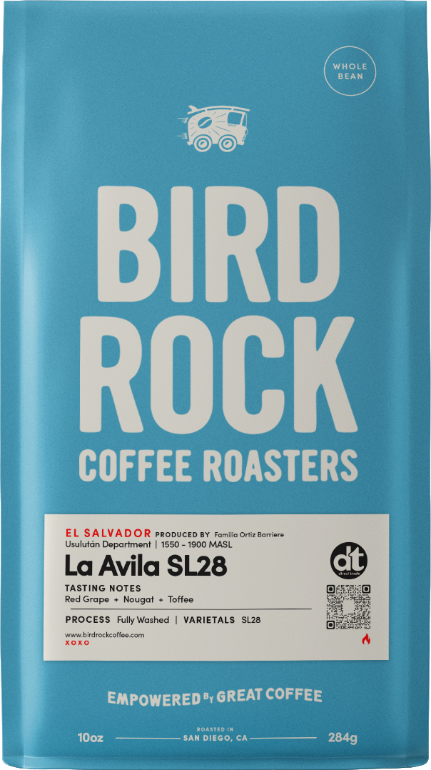 Single-origin pour-over at Bird Rock Coffee Roasters in La Jolla (Bird Rock), San Diego