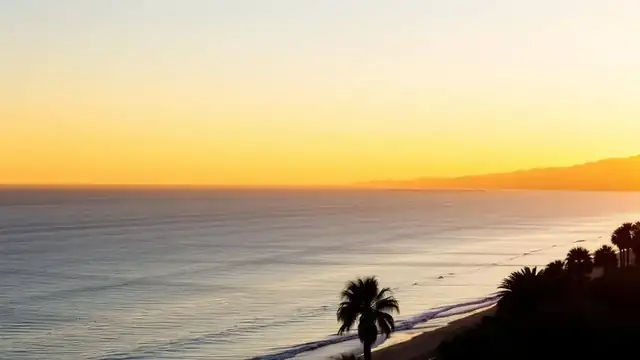 San Diego coastline at golden hour with palm trees silhouetted against the Pacific
