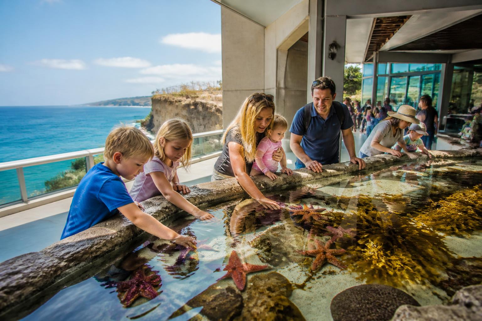 Families exploring an ocean-view tide pool touch tank at Birch Aquarium in La Jolla