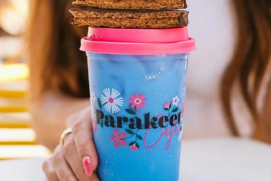 Signature Parakeet Café drink cup at the La Jolla location