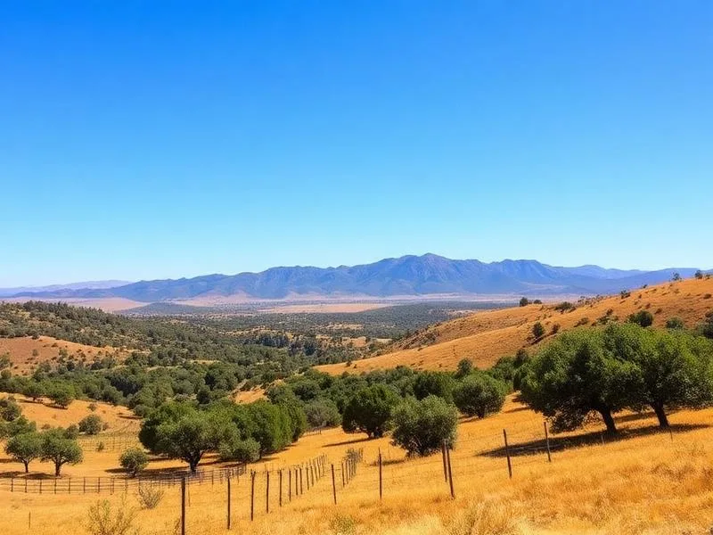 Ramona, San Diego County — Ranch and wine country an hour inland — horses, oak trees and tasting rooms