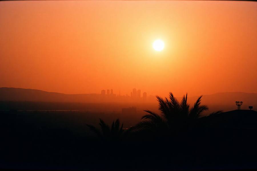 San Diego skyline under thick orange wildfire haze with a dim sun and silhouetted palms