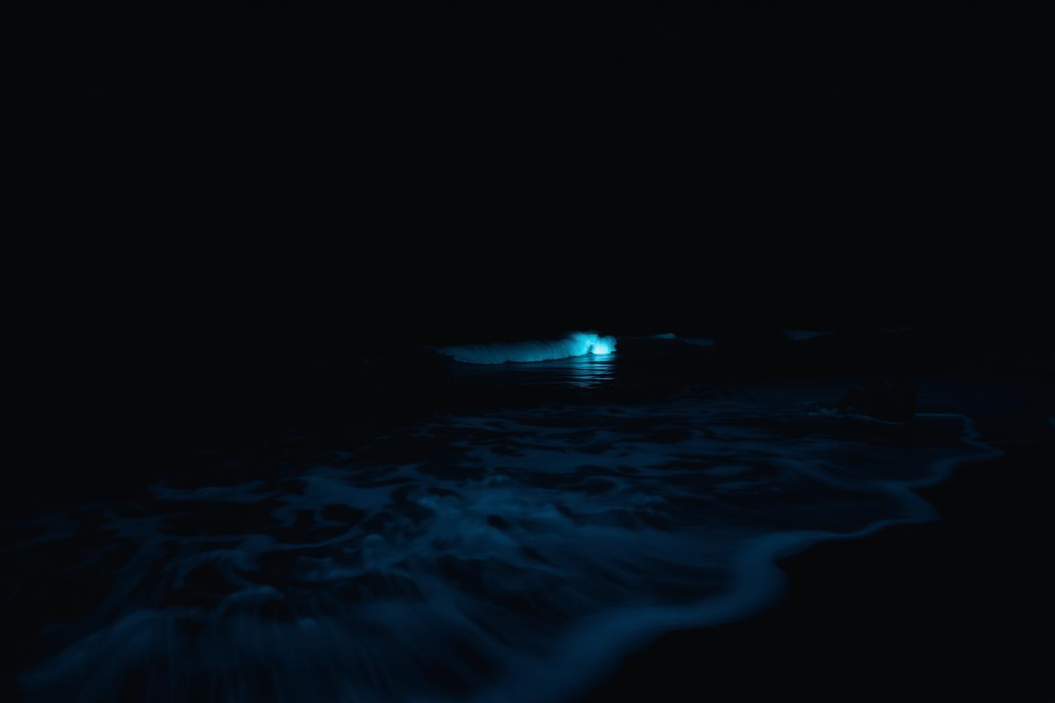 Electric blue bioluminescent wave breaking on a dark San Diego beach at night