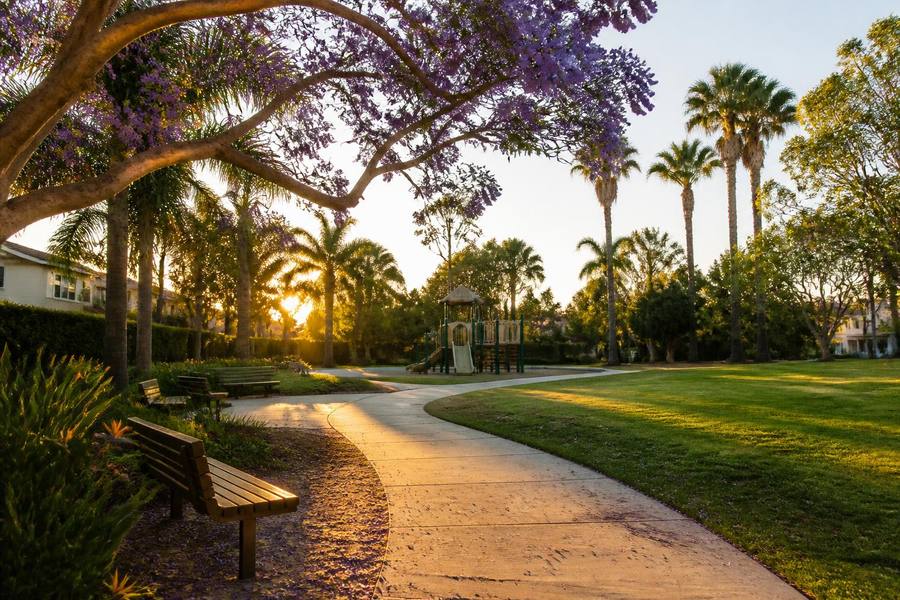 Golden-hour San Diego neighborhood park with a curving path, benches under a jacaranda tree, and a playground in the distance