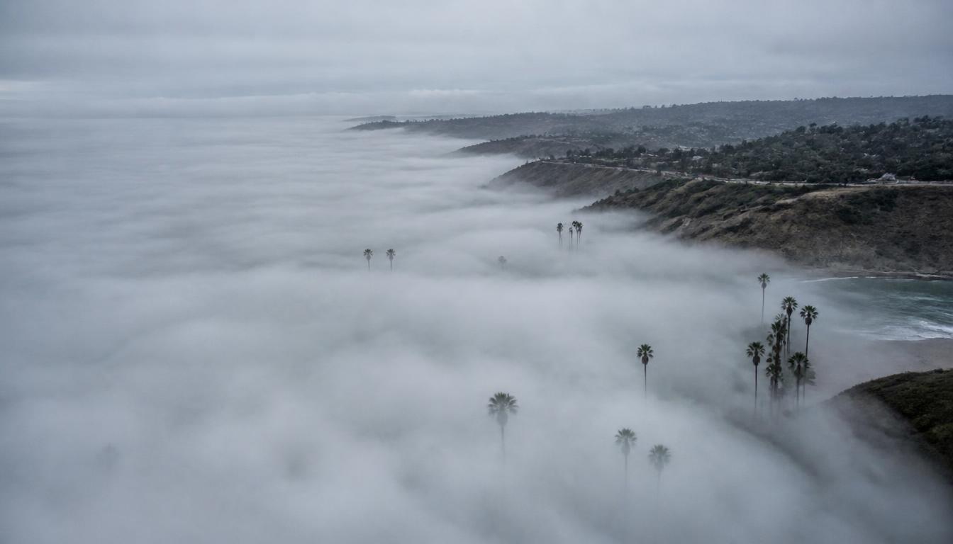 Aerial view of the San Diego coastline blanketed in thick gray marine layer fog with palm trees emerging above the clouds