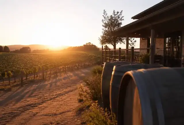 Best wineries in Escondido & Inland North County, San Diego